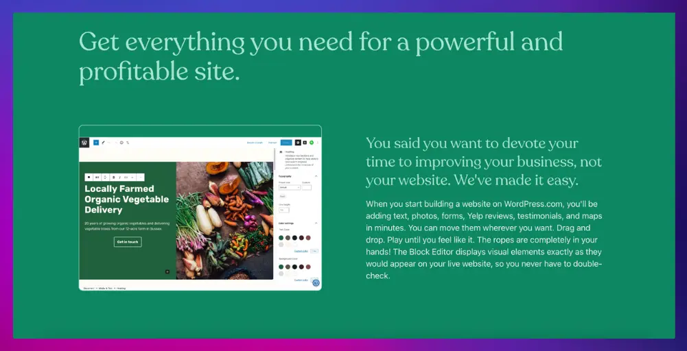 TheBlockEditor website