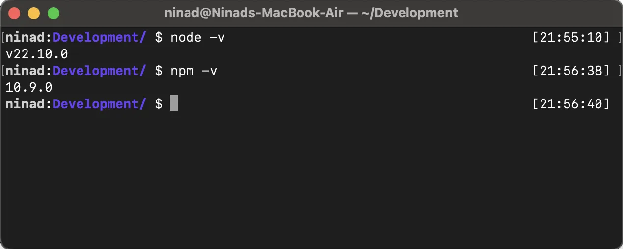 installing Node.js and npm