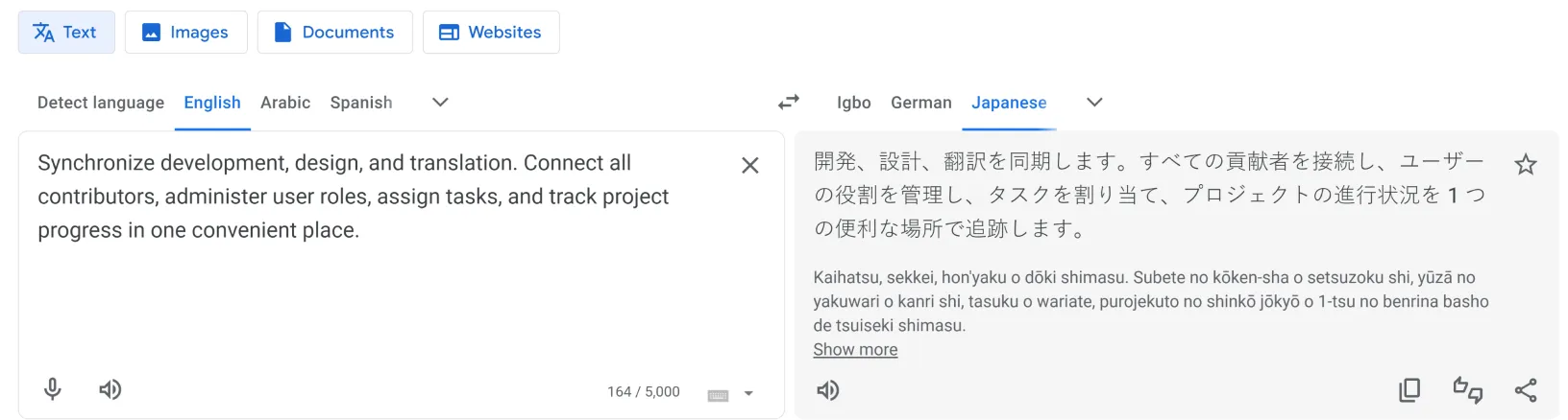 Google Translate interface