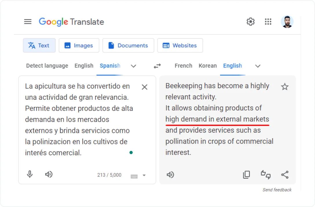 Genauigkeit von Google Translate Englisch Spanisch