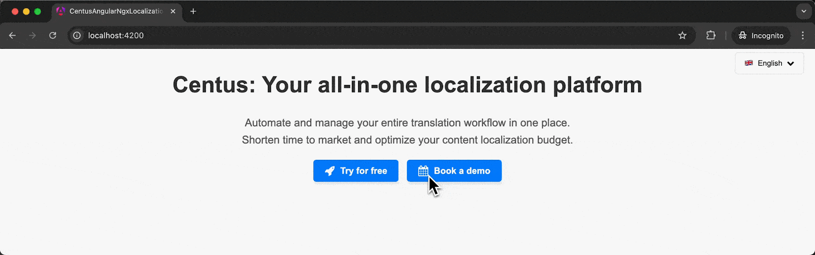 language switcher in the demo Angular app