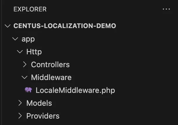 setting up middleware